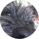 Leanne Welsh profile picture